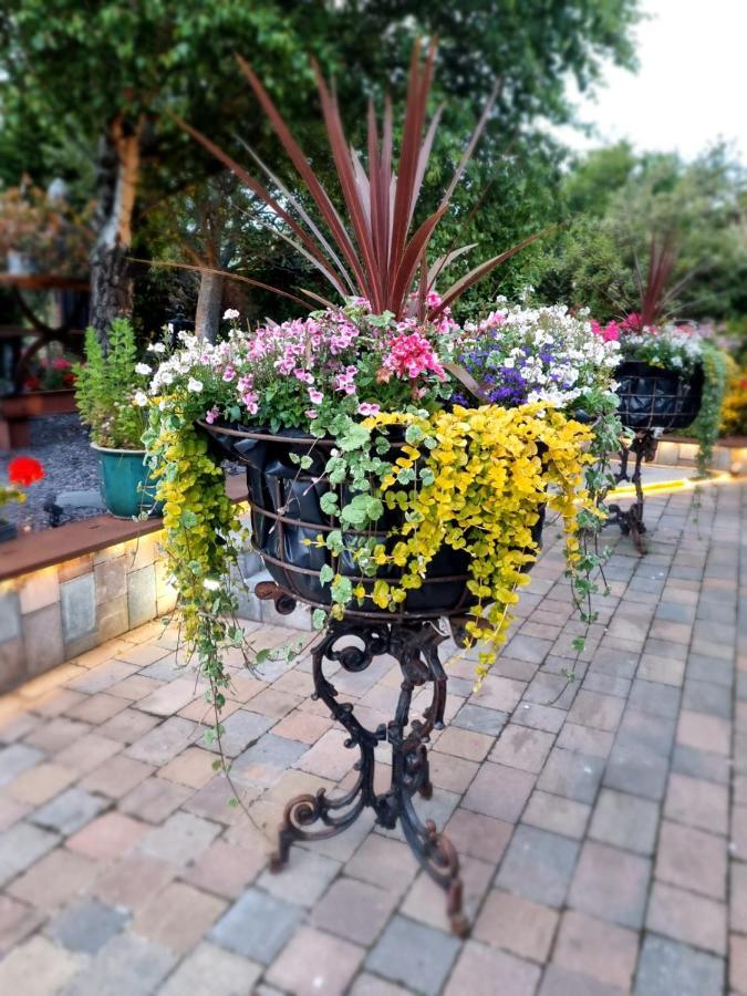 Varr House @ Meadow View Woodmancote Ngoại thất bức ảnh